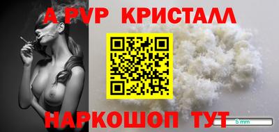 стаф Кунгур