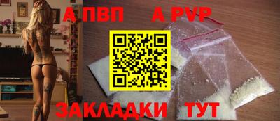 стаф Кунгур