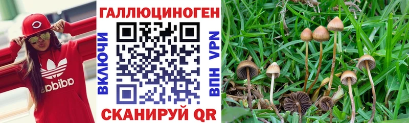 Галлюциногенные грибы мицелий наркота Печора