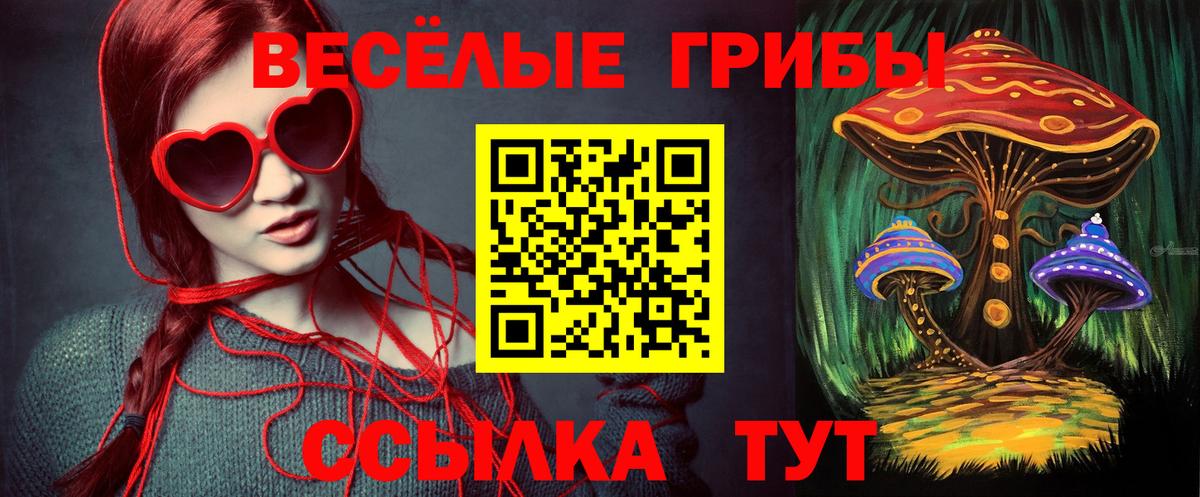 Галлюциногенные грибы мицелий Печора