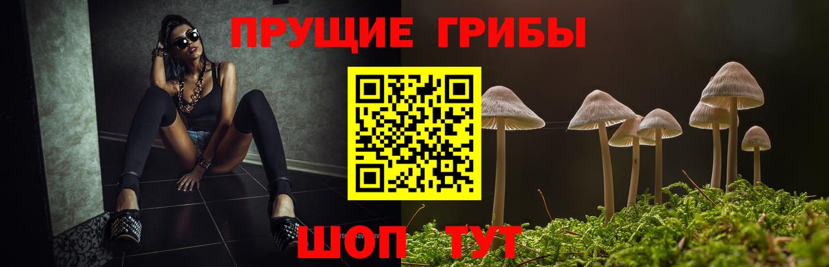 Печора  Псилоцибиновые грибы мухоморы  Вход с VPN 